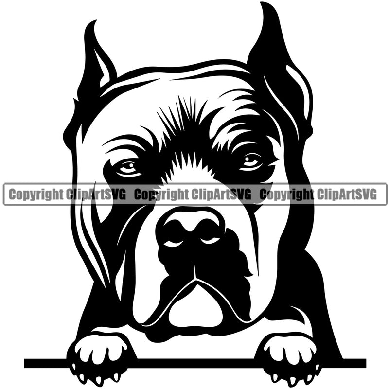 Pit Bull Dog Peeking Design Element Head Purebred Pedigree Canine K-9 K9 Animal Portrait Puppy Doggy Face Clipart SVG