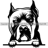 Pit Bull Dog Peeking Design Element Head Purebred Pedigree Canine K-9 K9 Animal Portrait Puppy Doggy Face Clipart SVG