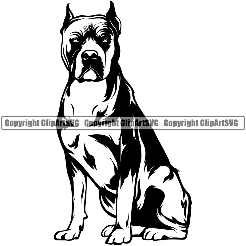 Pit Bull Dog Sitting Position Design Element  Puppy Pup Head Purebred Pedigree Canine K-9 K9 Animal Portrait Doggy Face Body Clipart SVG