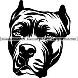 Pit Bull Dog Head Design Cute Face Animal  Puppy Pup Head Purebred Pedigree Canine K-9 K9 Animal Portrait Doggy Vector Clipart SVG