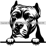 Pit Bull Peeking Position Dog Design Element  Puppy Pup Head Purebred Pedigree Canine K-9 K9 Animal Portrait Doggy Face Clipart SVG