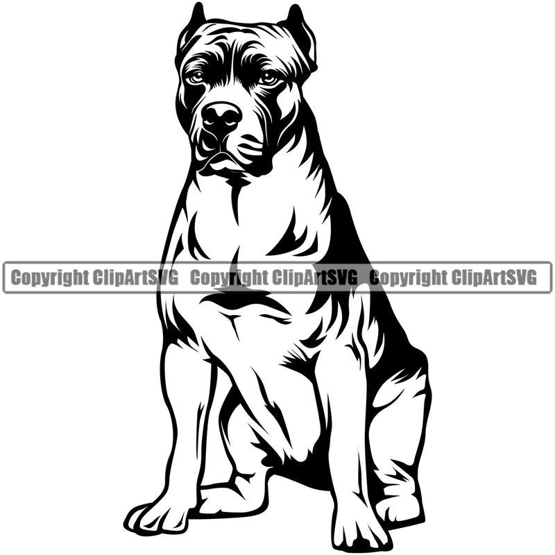 Pit Bull Sitting Dog Design  Puppy Pup Head Purebred Pedigree Canine K-9 K9 Animal Portrait Doggy Face Body Clipart SVG
