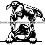 Pit Bull Dog Peeking Design Element  Puppy Pup Head Purebred Pedigree Canine K-9 K9 Animal Portrait Doggy Face Clipart SVG