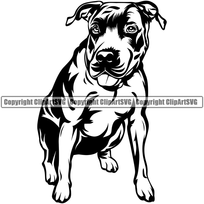 Pit Bull Siting Position Design Element  Puppy Pup Head Purebred Pedigree Canine K-9 K9 Animal Portrait Doggy Face Vector Clipart SVG