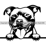 Pit Bull Dog Peeking Design  Puppy Pup Head Purebred Pedigree K-9 K9 Animal Portrait Doggy Face Smile Clipart SVG