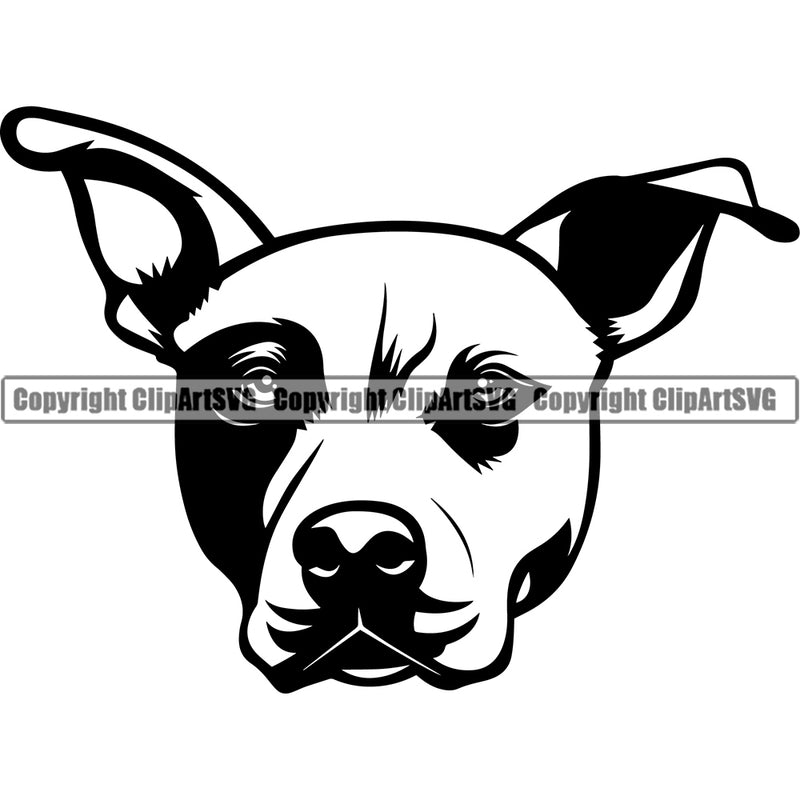 Pit Bull Dog Black Head Design Element  Puppy Pup Head Purebred Canine K9 Animal Portrait Doggy Face Cute Pedigree Vector Clipart SVG