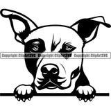 Pit Bull Dog Peeking Design Element  Puppy Pup Head Purebred Pedigree Canine K-9 K9 Animal Portrait Doggy Face Cute Body Clipart SVG