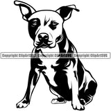 Pit Bull Dog Sitting Design Element  Puppy Pup Head Purebred Pedigree Canine K-9 K9 Animal Portrait Doggy Face Cute Vector Body Clipart SVG