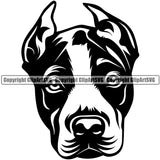 Pit Bull Dog Angry Face Design  Puppy Pup Head Purebred Pedigree Canine K-9 K9 Animal Portrait Doggy Face Cute Vector Clipart SVG