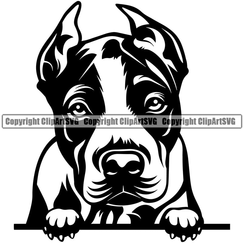 Pit Bull Dog Head Black Color Design Puppy Pup Head Purebred Pedigree Canine K-9 K9 Animal Portrait Doggy Face Cute Vector Clipart SVG