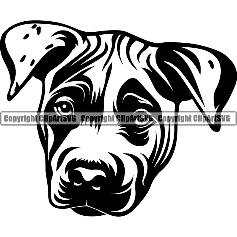 Pit Bull Dog Head Design Element Puppy Pup Head Pedigree K-9 K9 Animal Portrait Doggy Face Cute Canine Purebred Vector Clipart SVG