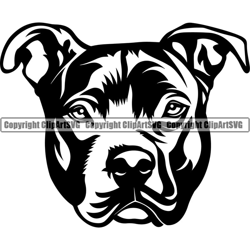 Pit Bull Dog Head Design Element Cute Face Puppy Pup Head Purebred Pedigree Canine K-9 K9 Animal Portrait Doggy Face Cute Vector Clipart SVG