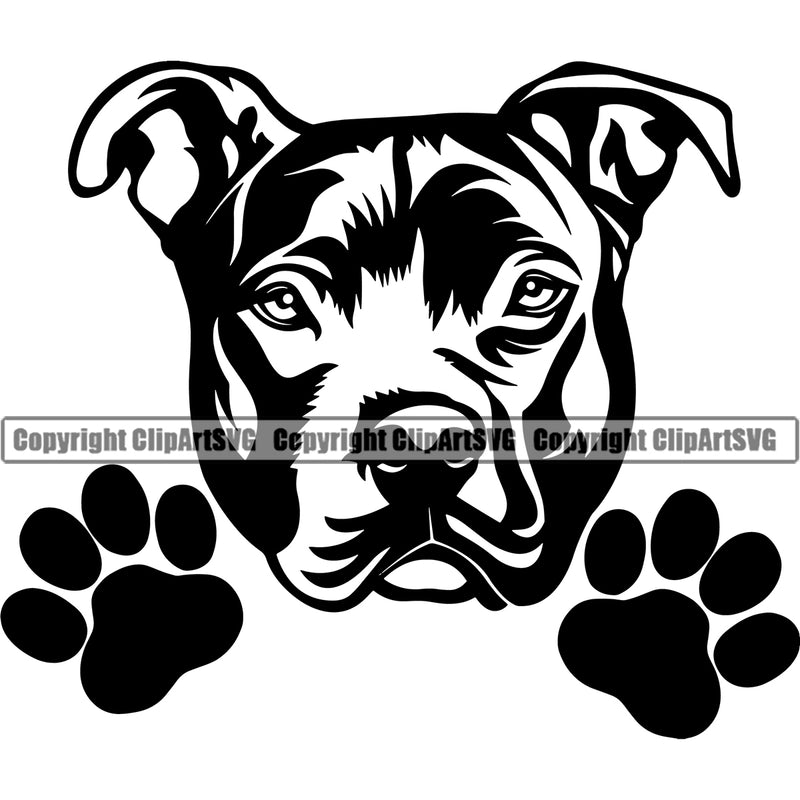 Pit Bull Dog Peeking Design Element Puppy Pup Head Purebred Pedigree Canine K-9 K9 Animal Portrait Doggy Face Cute Vector Clipart SVG