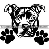 Pit Bull Dog Peeking Design Element Puppy Pup Head Purebred Pedigree Canine K-9 K9 Animal Portrait Doggy Face Cute Vector Clipart SVG