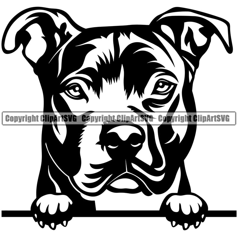 Pit Bull Dog Peeking Design Element Puppy Pup Head Purebred Pedigree Canine K-9 K9 Animal Portrait Doggy Face Cute Vector Clipart SVG