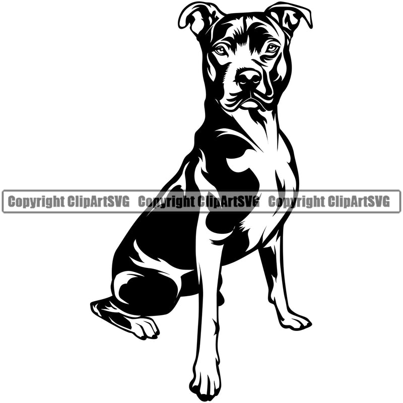 Pit Bull Dog Sitting Design Black Color Body Puppy Pup Head Purebred Canine K-9 K9 Animal Doggy Face Cute Portrait Pedigree Vector Clipart SVG