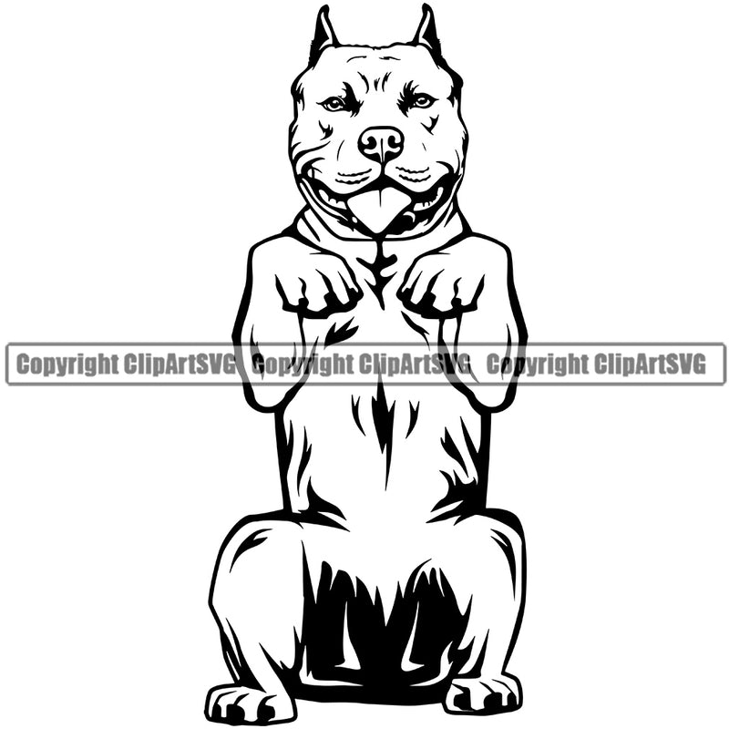 Pit Bull Dog Begging Design Element Body Puppy Pup Head Purebred Pedigree Canine K-9 K9 Animal Portrait Doggy Face Cute Vector Clipart SVG