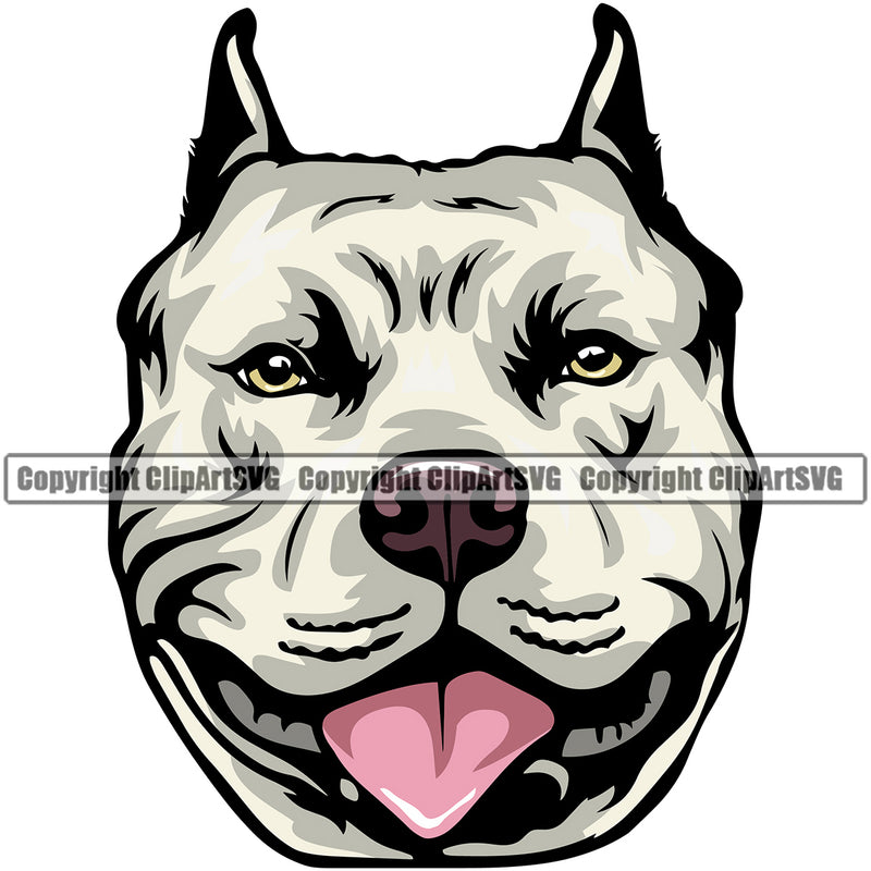 Pit Bull Dog Color Head Design Element Puppy Pup Head Purebred Canine K-9 K9 Animal Doggy Face Cute Pedigree Portrait Vector Clipart SVG