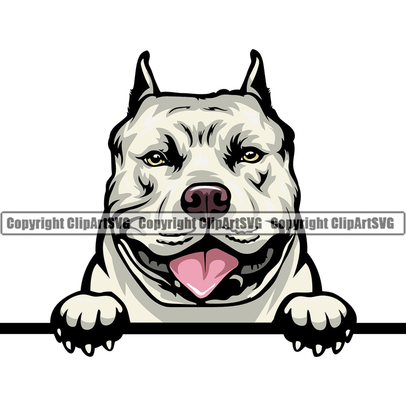 Pit Bull Dog Color Head Design Peeking Position Puppy Pup Head Purebred Pedigree Canine K-9 K9 Animal Portrait Doggy Face Cute Vector Clipart SVG