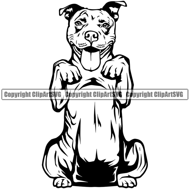 Pit Bull Dog Begging Design Element Animal Body Vector Puppy Pup Head Purebred Pedigree K9 Animal Portrait Doggy Face Cute Canine Clipart SVG