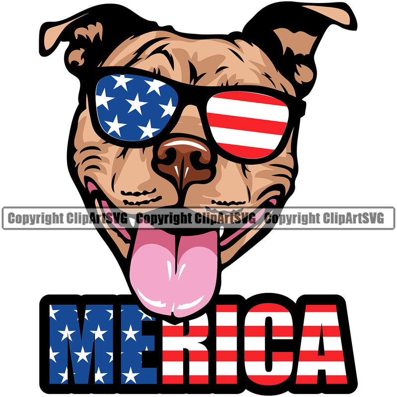 Pit Bull Dog Wearing Sunglasses With Merica Text Puppy Pup Head Purebred Pedigree Canine K-9 K9 Animal Portrait Doggy Face Vector Clipart SVG