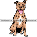 Pit Bull Dog Sitting Color Happy Face Design Element  Puppy Pup Head Purebred Pedigree Canine K-9 K9 Animal Portrait Doggy Vector Clipart SVG