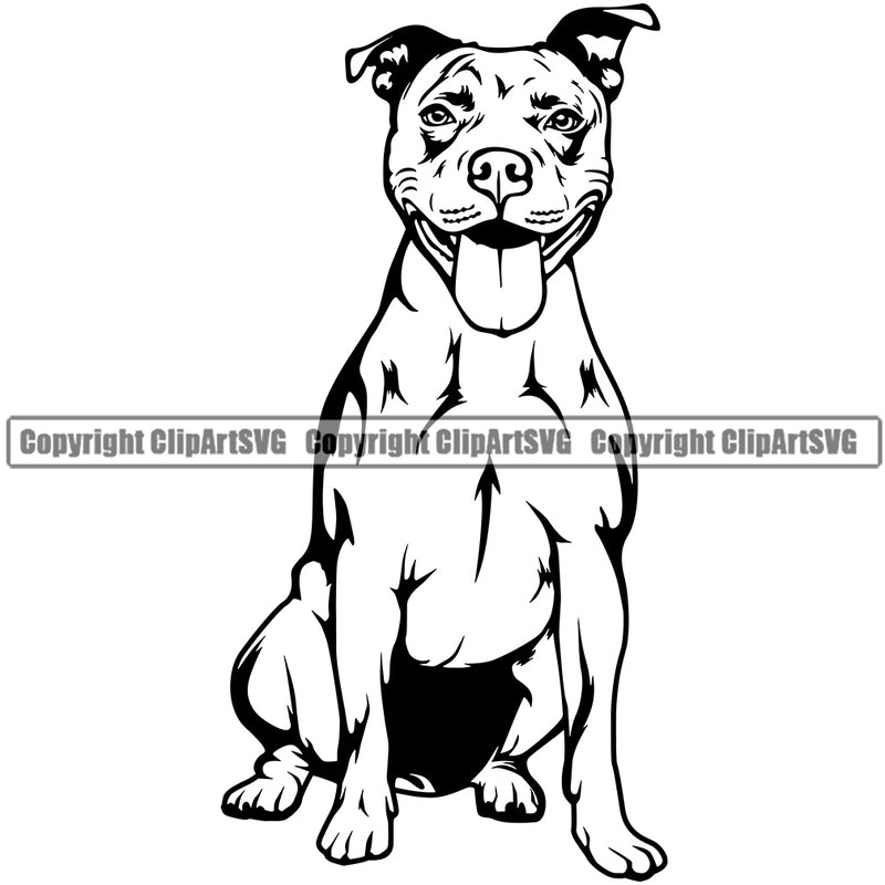 Pit Bull Dog Sitting Design Cute Face Animal  Puppy Pup Head Purebred Pedigree Canine K-9 K9 Animal Portrait Doggy Vector Clipart SVG