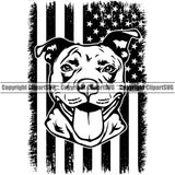Pit Bull Dog Under USA Flag Design Smile Face  Puppy Pup Head Purebred Pedigree Canine K-9 K9 Animal Portrait Doggy Vector Clipart SVG
