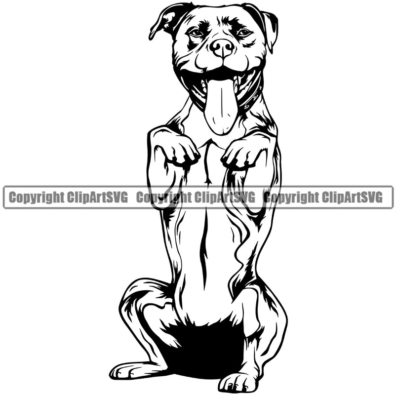 Pit Bull Dog Begging Smile Face Design  Puppy Pup Head Purebred Pedigree Canine K-9 K9 Animal Portrait Doggy Vector Clipart SVG