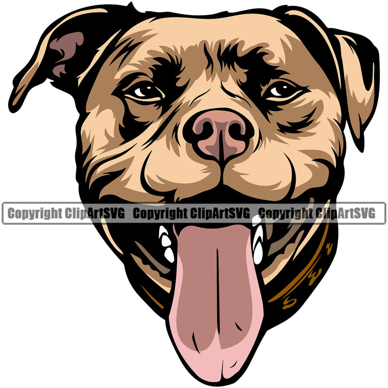 Pit Bull Dog Angry Face Design Color Head  Puppy Pup Head Purebred Pedigree K-9 K9 Animal Portrait Doggy Vector Canine Clipart SVG