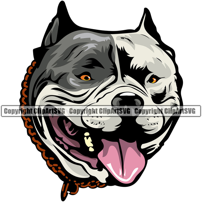 Pit Bull Dog With Collar Design Color Head Animal  Puppy Pup Head Purebred Pedigree Canine K-9 K9 Animal Portrait Doggy Vector Clipart SVG