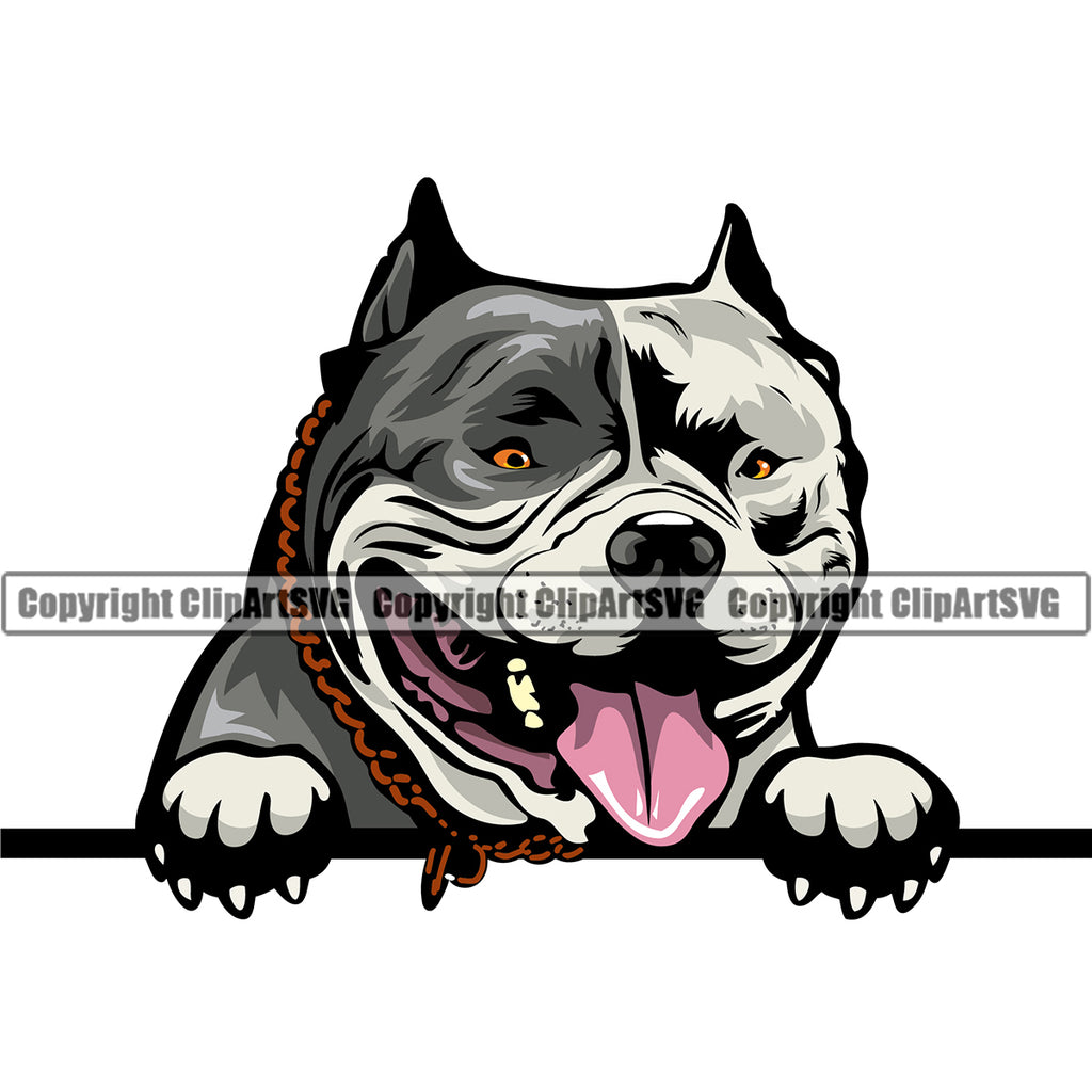 Pit Bull Dog Peeking Design Element Color Head Animal  Puppy Pup Head Purebred Pedigree Canine K9 Animal Portrait Doggy Clipart SVG