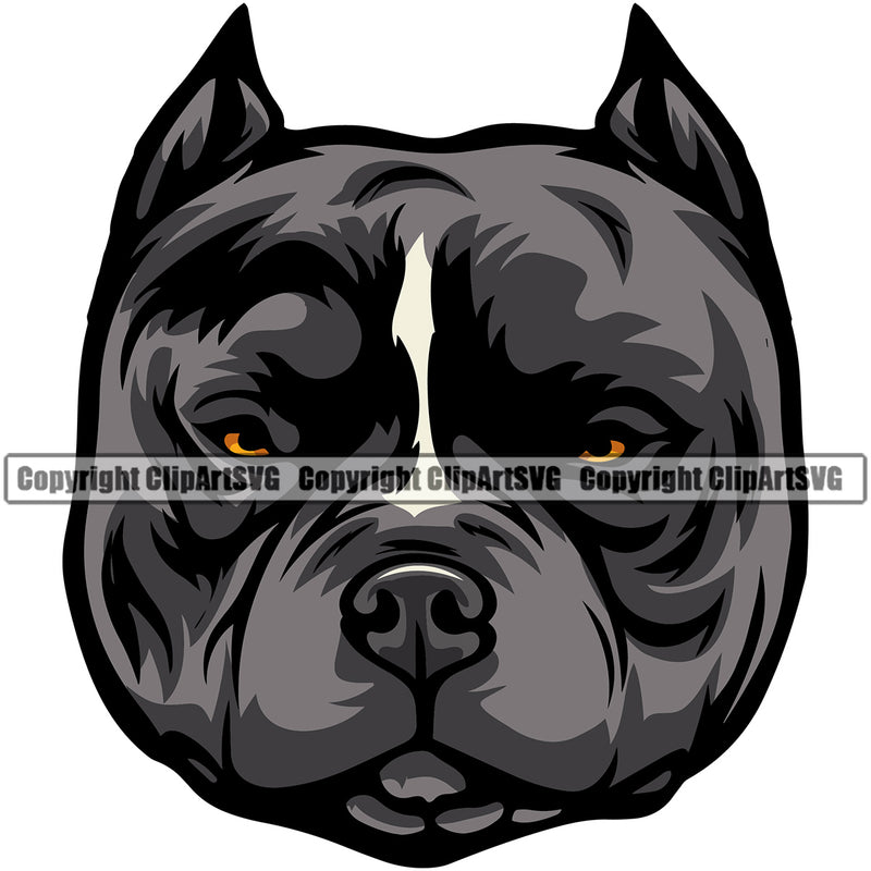 Pit Bull Dog Black Color Head Design Smile Face Animal  Puppy Pup Head Purebred Pedigree Canine K-9 K9 Animal Portrait Doggy Vector Clipart SVG