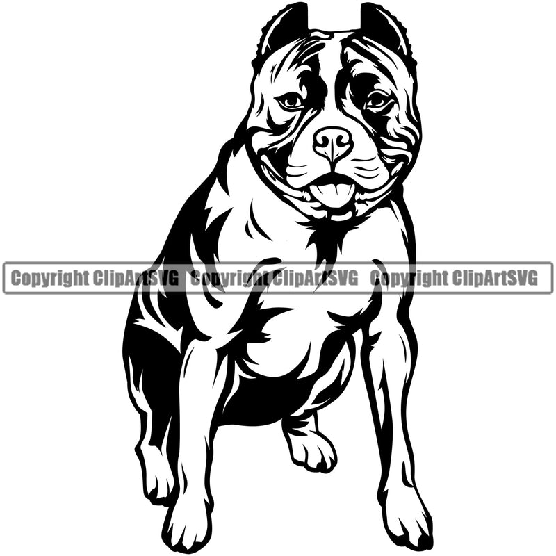 Pit Bull Dog Sitting Design Element Cute Face Animal  Puppy Pup Head Purebred Pedigree Canine K-9 K9 Animal Portrait Doggy Clipart SVG