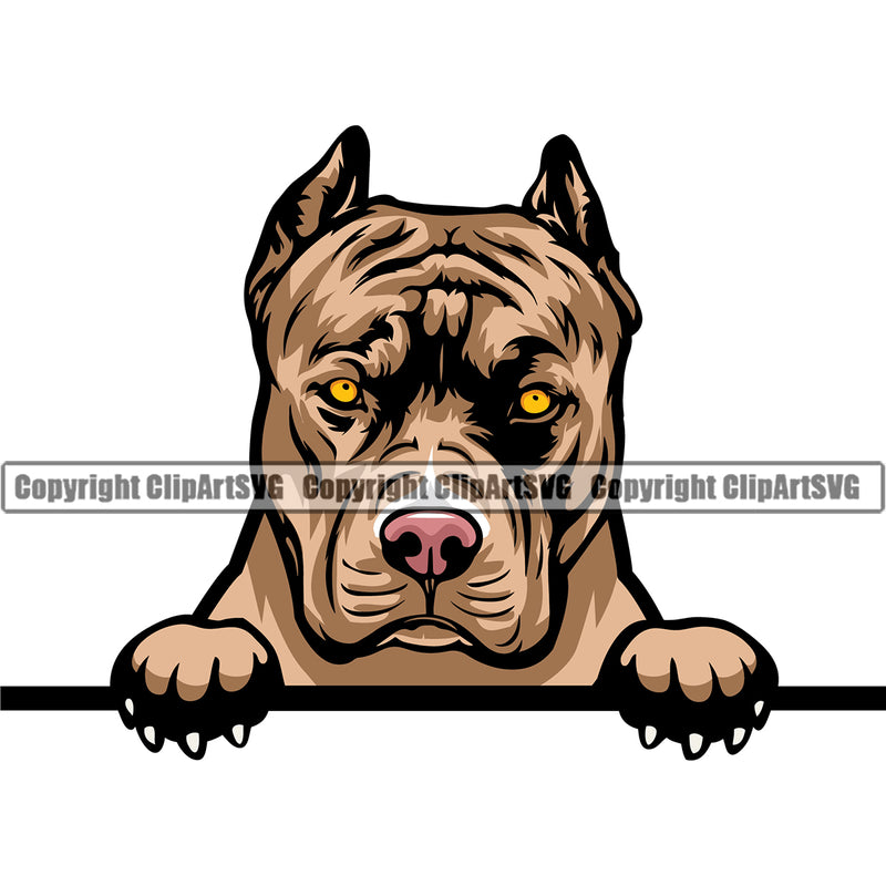 Pit Bull Dog Peeking Position Color Head Design  Puppy Pup Head Purebred Pedigree Canine K-9 K9 Animal Portrait Doggy Vector Clipart SVG