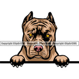 Pit Bull Dog Peeking Position Color Head Design  Puppy Pup Head Purebred Pedigree Canine K-9 K9 Animal Portrait Doggy Vector Clipart SVG