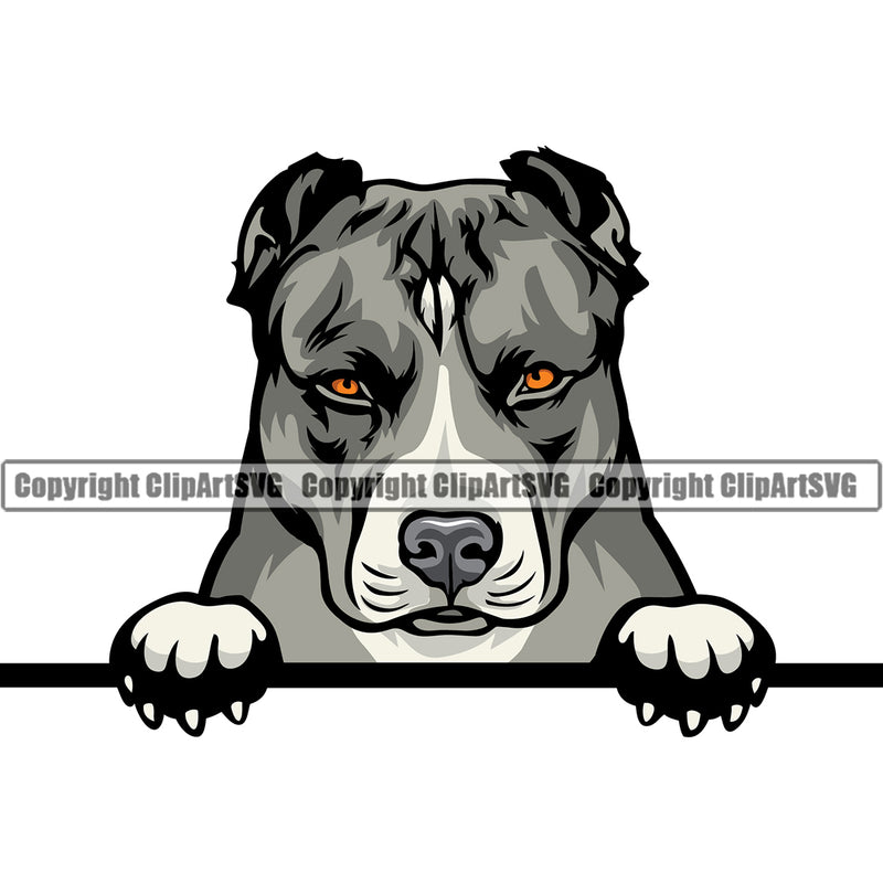 Pit Bull Dog Peeking Design Color Head Animal  Puppy Pup Head Purebred Pedigree Canine K-9 K9 Animal Portrait Doggy Cute Face Clipart SVG