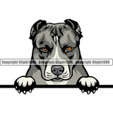 Pit Bull Dog Peeking Design Color Head Animal  Puppy Pup Head Purebred Pedigree Canine K-9 K9 Animal Portrait Doggy Cute Face Clipart SVG