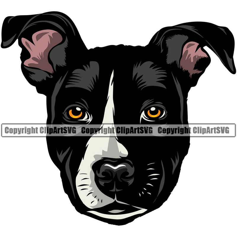Pit Bull Dog Color Head Design Angry Face  Puppy Pup Head Purebred Pedigree Canine K-9 K9 Animal Portrait Doggy Vector Clipart SVG