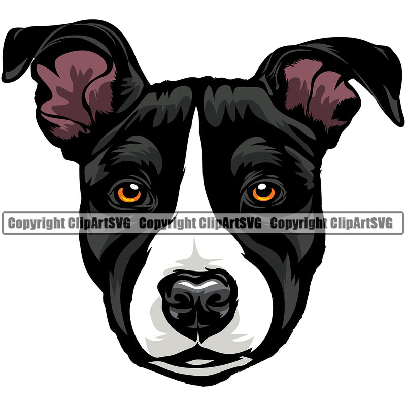 Pit Bull Dog Color Head Design Animal Puppy Pup Head Purebred Pedigree Canine K-9 K9 Animal Portrait Doggy Face Clipart SVG