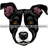 Pit Bull Dog Color Head Design Animal Puppy Pup Head Purebred Pedigree Canine K-9 K9 Animal Portrait Doggy Face Clipart SVG