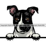 Pit Bull Dog Color Head Design  Puppy Pup Head Purebred Pedigree Canine K-9 K9 Animal Portrait Doggy Vector Clipart SVG