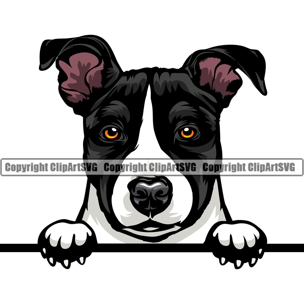 Pit Bull Dog Peeking Design Cute Face Animal Puppy Pup Head Purebred Pedigree Canine K-9 K9 Animal Portrait Doggy Vector Clipart SVG