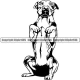 Pit Bull Dog Begging Design Cute Animal Face Puppy Pup Head Purebred Pedigree Canine K-9 K9 Animal Portrait Doggy Vector Clipart SVG