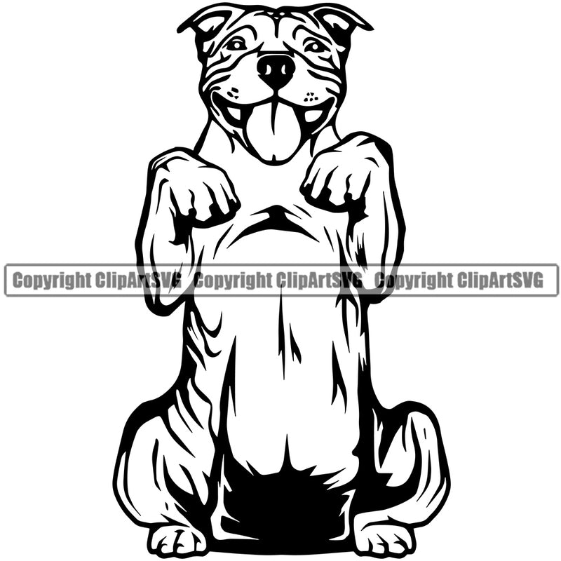 Pit Bull Dog Begging Cute Face Animal Dog Design Puppy Pup Head Purebred Pedigree Canine K-9 K9 Animal Portrait Doggy Body Clipart SVG