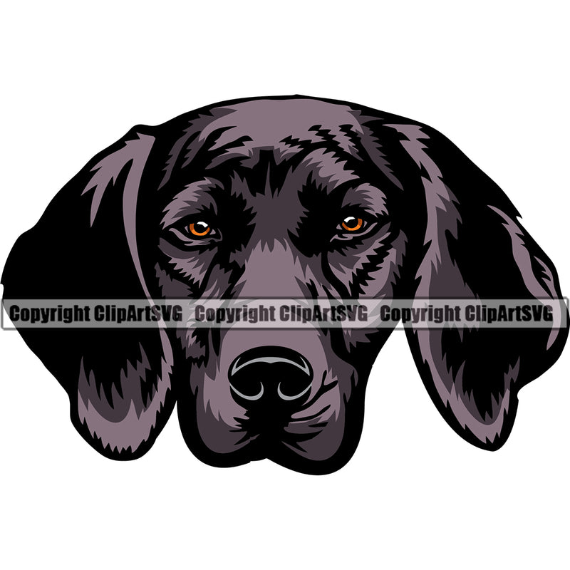 Plott Hound Dog Color Head Design Angry Face Puppy Pup Head Purebred Pedigree Canine K-9 K9 Animal Portrait Doggy Face Cute Vector Clipart SVG