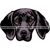 Plott Hound Dog Color Head Design Angry Face Puppy Pup Head Purebred Pedigree Canine K-9 K9 Animal Portrait Doggy Face Cute Vector Clipart SVG