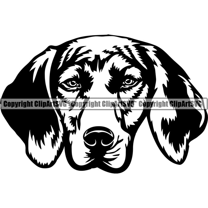 Plott Hound Animal Dog Design Puppy Pup Head Purebred Pedigree Canine K-9 K9 Animal Portrait Doggy Face Cute Vector Clipart SVG