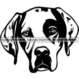 Pointer Dog Head Design Element Cute Face Animal Puppy Pup Head Purebred Pedigree Canine K-9 K9 Animal Portrait Doggy Clipart SVG