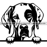 Pointer Dog Peeking Design Angry Face Animal Head Puppy Pup Head Purebred Pedigree Canine K-9 K9 Animal Portrait Doggy Cute Vector Clipart SVG